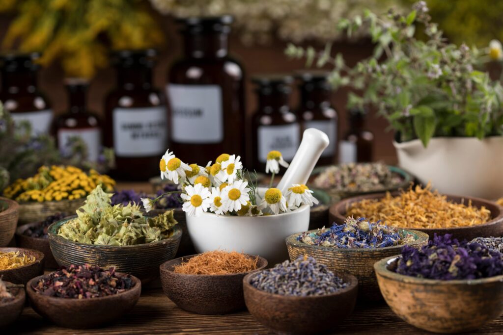 phytotherapie phytotherapie-medecines-douces